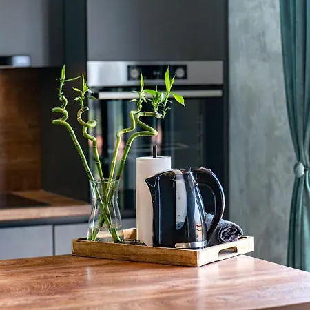 Modern With A Beautiful View